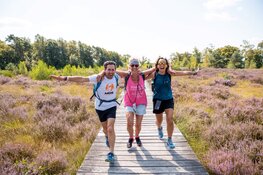 Pink Ribbon Soester Wandelweekend ook dit jaar onverminderd populair