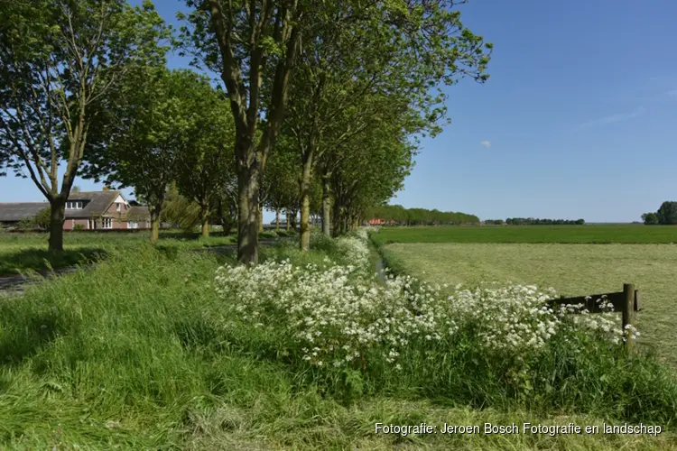 Pilot tegen verwilderde katten afgerond