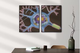 Expositie 'Inside the Autside' van Martine Mussies: een reis door het neurodivergente brein