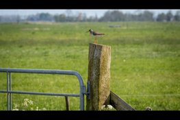 Bijna 1 miljoen beschikbaar voor natuurvriendelijke investeringen
