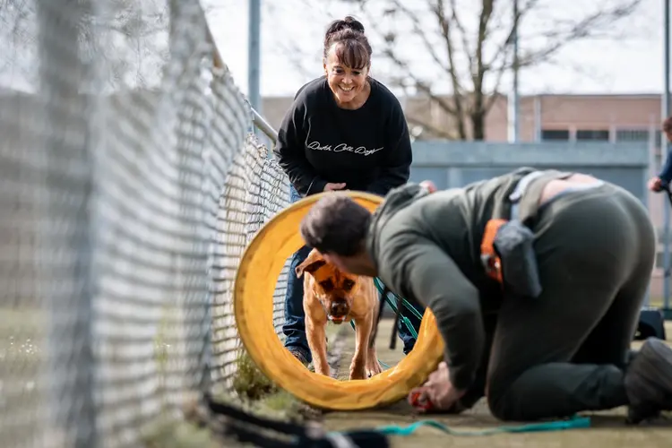 Dutch Cell Dogs opent pop-up store op Utrecht Centraal