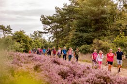 Roze lint door Soest en Baarn: 6.750 deelnemers genieten van 7e editie Pink Ribbon Soester Wandelweekend