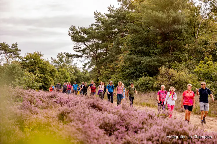 Roze lint door Soest en Baarn: 6.750 deelnemers genieten van 7e editie Pink Ribbon Soester Wandelweekend