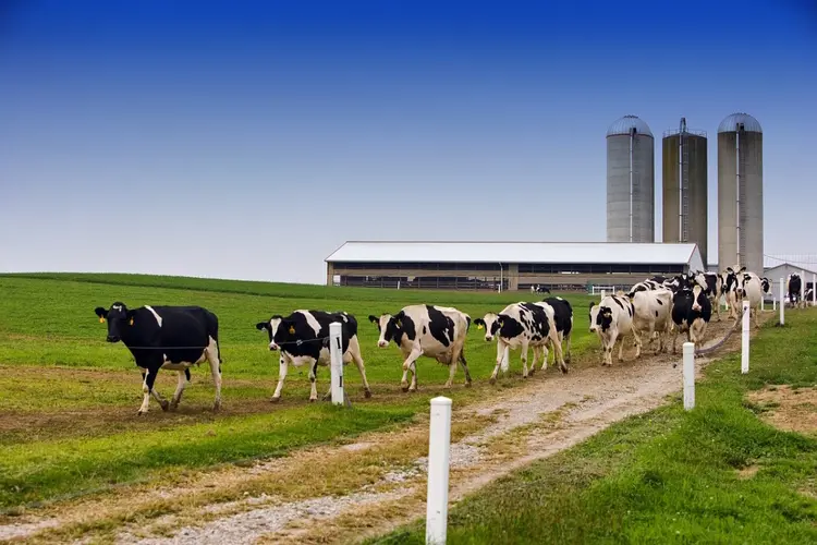 Duidelijke vooruitgang in eerste jaar Utrechtse Monitor Duurzame Landbouw