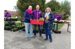 Boomspiegelactie laat Utrecht bloeien: bewoners vergroenen massaal hun straat