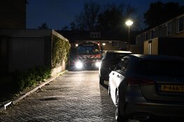 Overleden persoon aangetroffen in steeg Nieuwegein