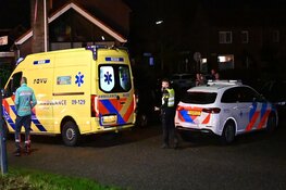 Auto ramt lantaarnpaal en belandt in sloot in Kamerik
