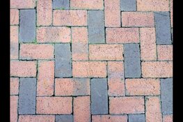 Utrecht wint goud bij het NK Tegelwippen: 437.000 tegels gewipt