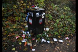 Over demonstreren en rommel bij containers: kinderen stellen vragen in de Utrechtse raadszaal tijdens Kindervragenuur