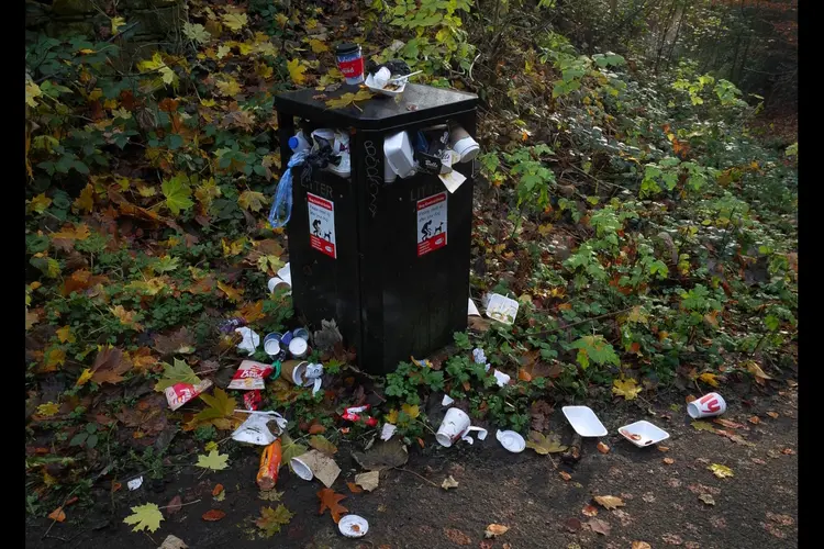 Over demonstreren en rommel bij containers: kinderen stellen vragen in de Utrechtse raadszaal tijdens Kindervragenuur