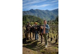 Jonge ondernemer opent El Granjero Vinos: Een nieuw wijnimportbedrijf met een verhaal