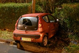 Auto belandt in heg langs Stroomrugbaan