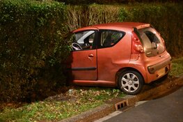 Auto belandt in heg langs Stroomrugbaan