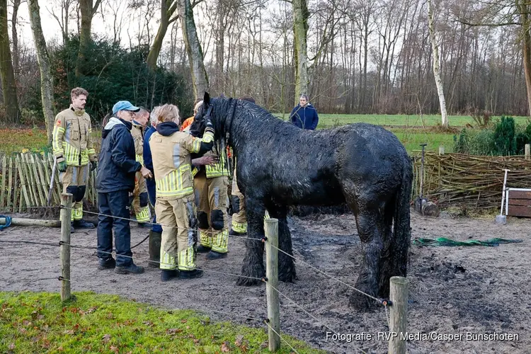 Paard belandt in sloot in Eemnes