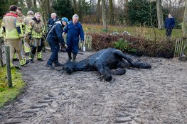 Paard belandt in sloot in Eemnes