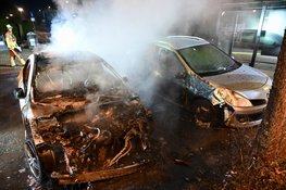 Twee auto's door brand verwoest in Nieuwland