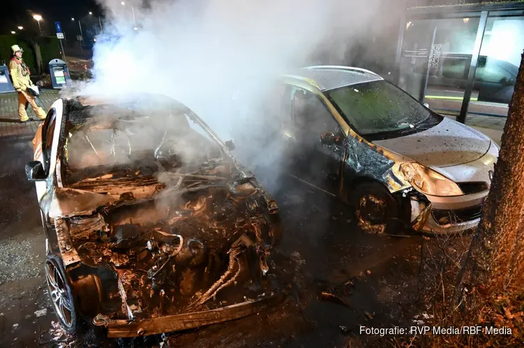 Twee auto's door brand verwoest in Nieuwland