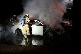 Twee auto's door brand verwoest in Nieuwland