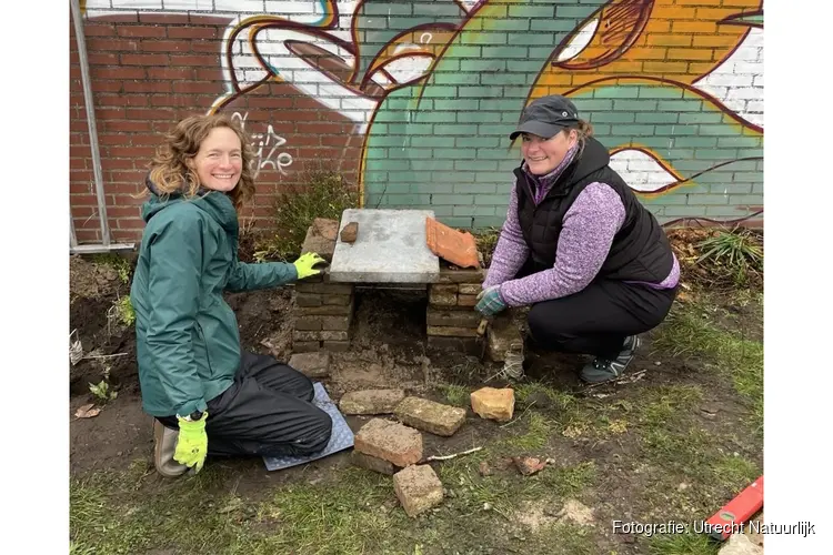 Werk mee aan een groenere stad: Utrecht krijgt langste egelsnelweg van Nederland
