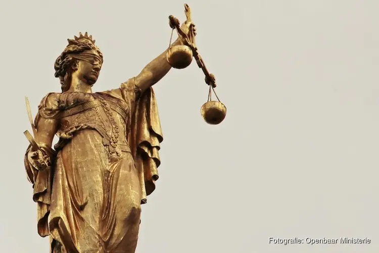 OM eist in hoger beroep 11 jaar cel tegen moeder voor poging moord op dochtertje