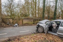 Auto botst tegen boom na uitwijken voor tegenligger