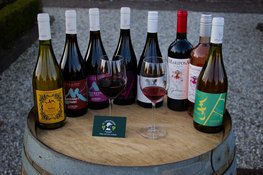 Jonge ondernemer opent El Granjero Vinos exclusieve wijnen vanuit Chili