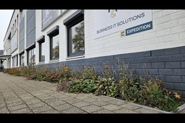 Van grijs naar groen op bedrijventerrein Lage Weide