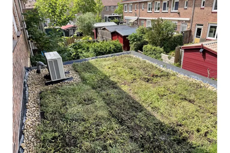 De nieuwe trend in verduurzamen: groene en blauw-groene daken winnen terrein in Utrecht