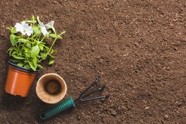 Steeds meer Utrechters kiezen voor kwalitatieve tuinaarde van DCM