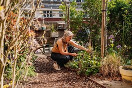 Word Tuincoach in jouw buurt en maak Utrecht groener