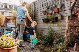 Word Tuincoach in jouw buurt en maak Utrecht groener