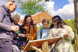 Utrecht Natuurlijk viert de bij met de Blije Bijenweek