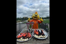 11de editie DESTO DIVA'S CUP: hét spectaculaire meiden- en damesvoetbalfeest van Midden-Nederland!