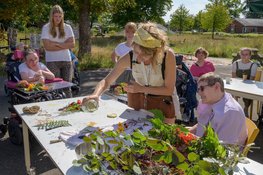 Van zelfgemaakt muziekinstrument tot foto-expositie; zomerworkshops op woonzorgpark de Heygraeff van start