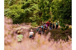 Pink Ribbon Soester Wandelweekend in aantocht