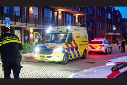 Zwaargewonde na steekincident in Mijdrecht, verdachte aangehouden in Wilnis