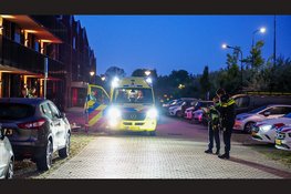 Zwaargewonde na steekincident in Mijdrecht, verdachte aangehouden in Wilnis