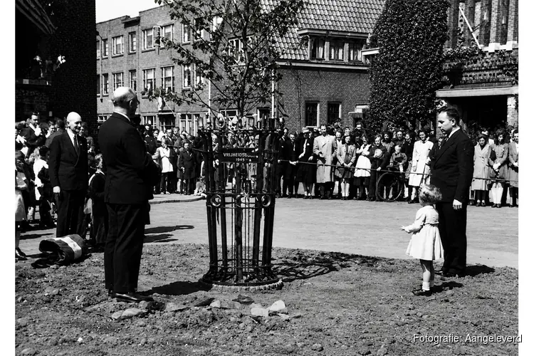 StraatReünie Cornelis Mertenssstraat: herinneringen aan de Vrijheidsboom