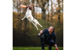 Het Bouncers team organiseert een internationale Dogfrisbee wedstrijd. 'The Bouncerscup'