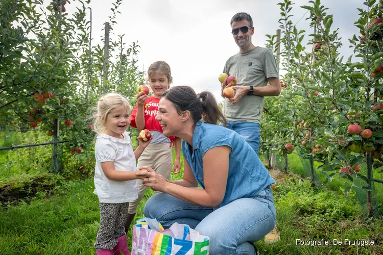 Utrechtse fruittelers openen hun boomgaard: geniet van de oogst van dichtbij