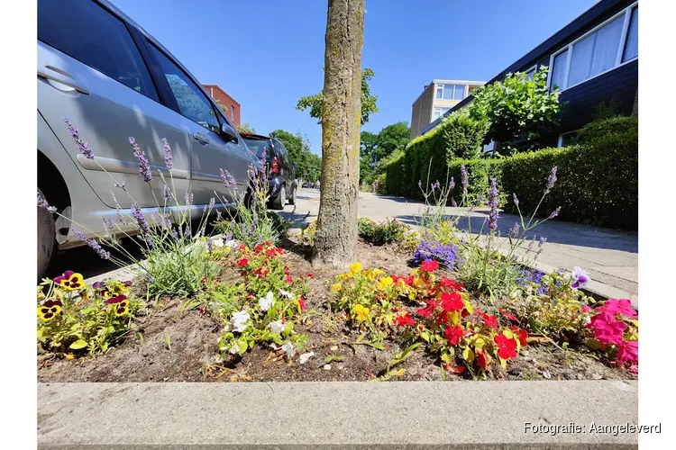Van kale boomspiegel naar mini-oase: Utrecht vergroent verder
