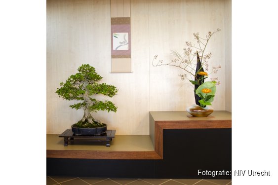 Expositie natuur en vorm brengt Ikebana in beeld