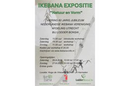 Expositie natuur en vorm brengt Ikebana in beeld