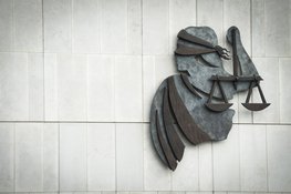 Voortvluchtige 29-jarige man opgepakt in Frankrijk