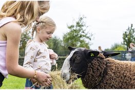 Utrecht Natuurlijk zet dieren in het zonnetje op Dierendag