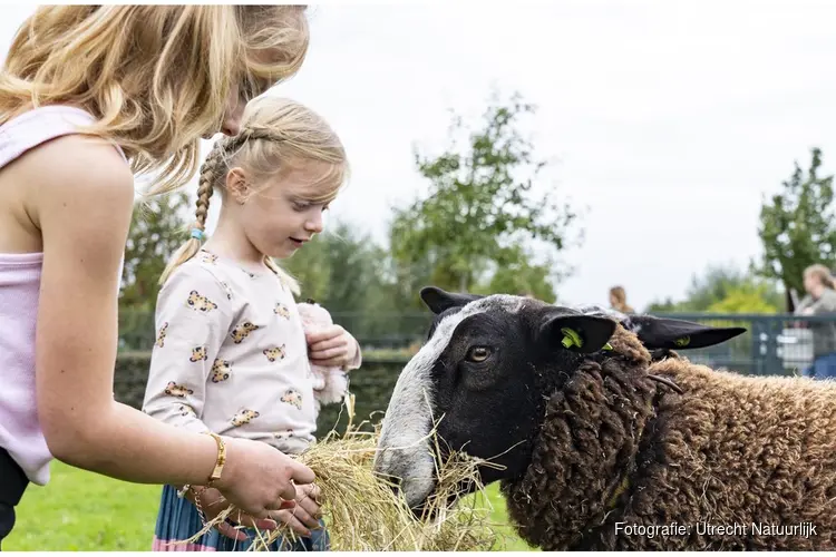 Utrecht Natuurlijk zet dieren in het zonnetje op Dierendag