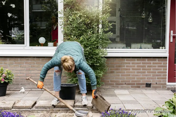 25 miljoenste tegel in zicht: NK Tegelwippen roept Nederland op tot laatste eindsprint