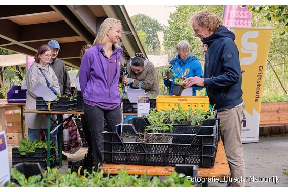Boomspiegelfeest geeft 500 boomspiegels in Utrecht een groene impuls