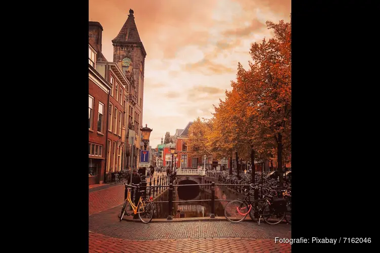 Natuurlijke ontspanning in Utrecht met CBD